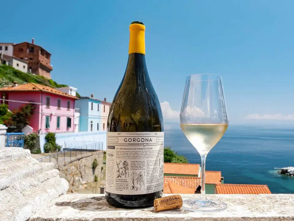 Vermentino Italian White Wine