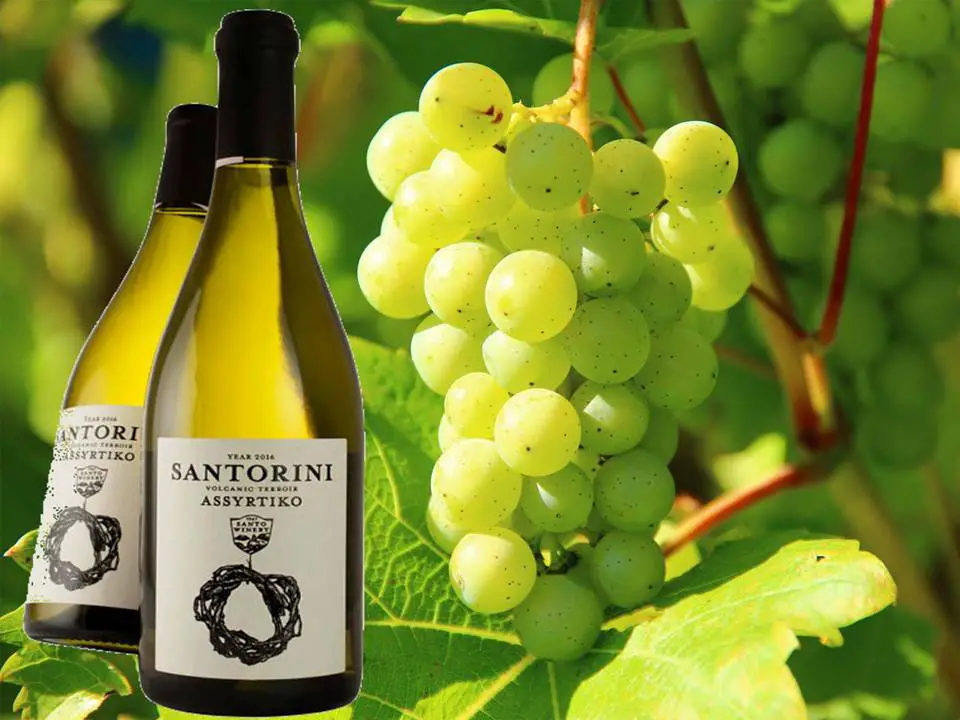 Assyrtiko White Wine