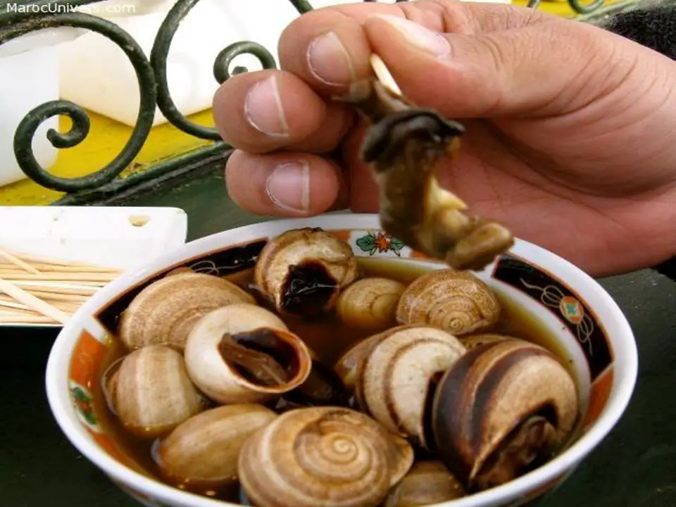 Babouche Moroccan Snail Dish