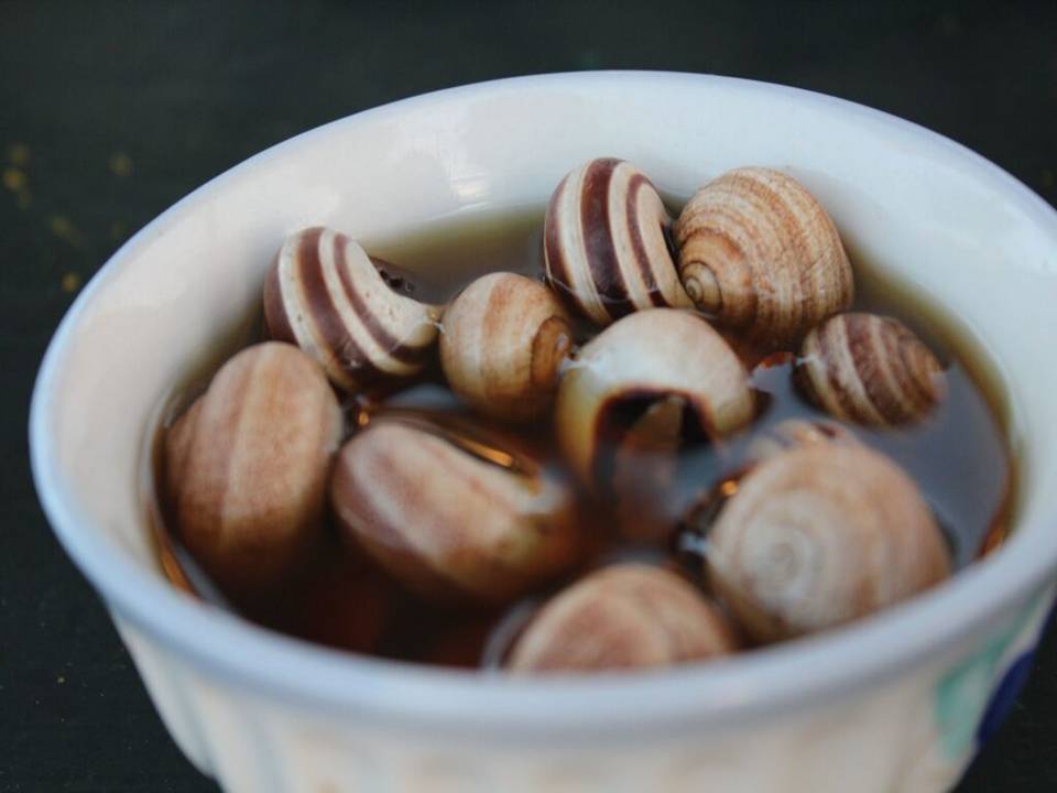 Moroccan Snail Soup Babbouche