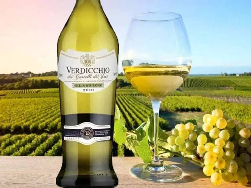 Verdicchio White Wine