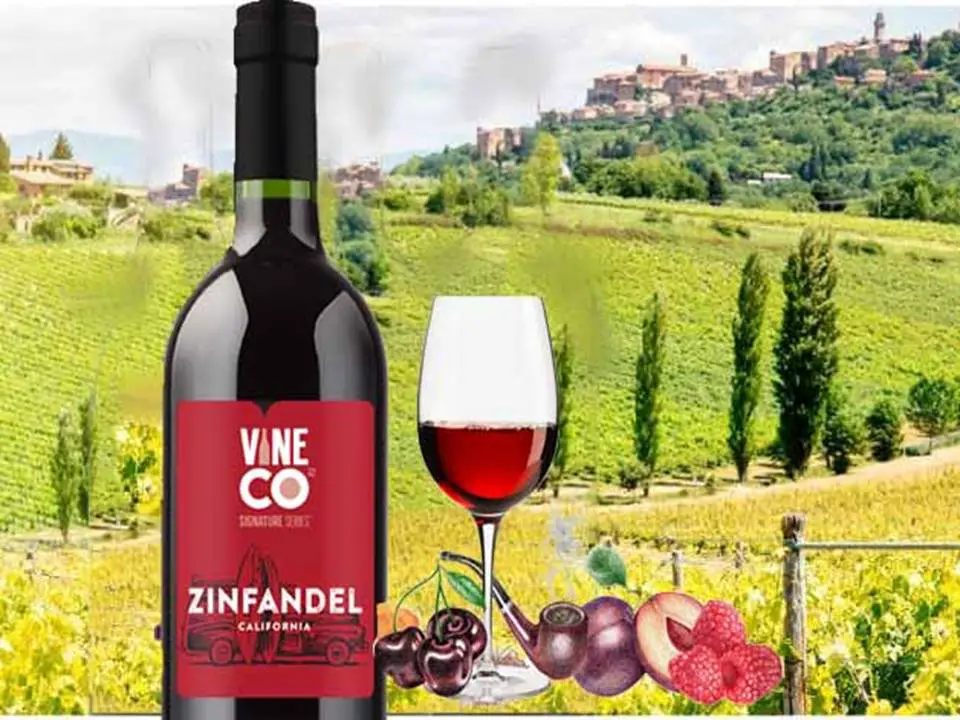 Zinfandel Italian Wine