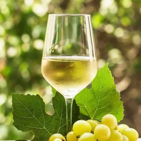 Chardonnay White Wine